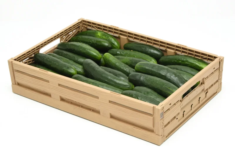 Kunststoff-Klappbox 600x400x113 mm