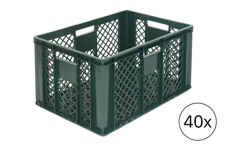 40x grün